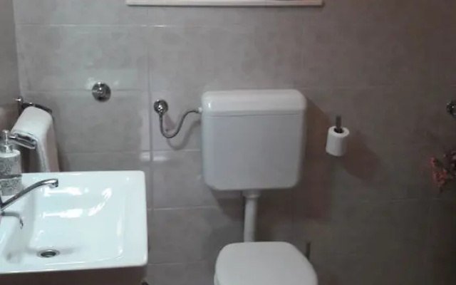 Apartment Branka