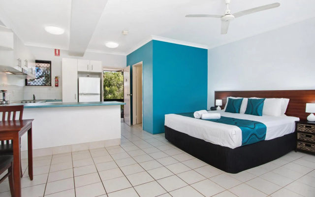 Cairns City Palms