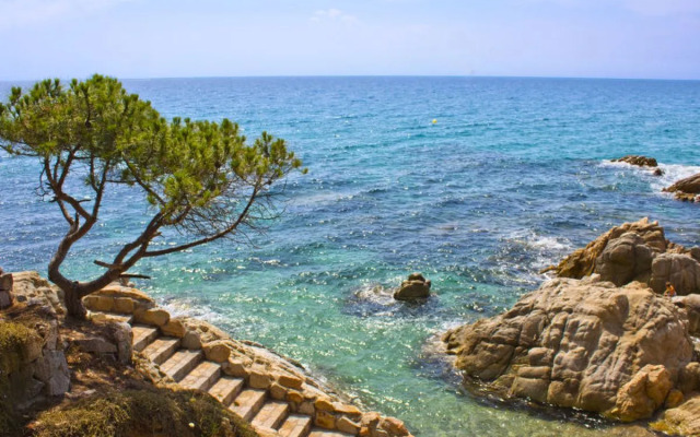 Apartment Fanals Playa de Aro 21373