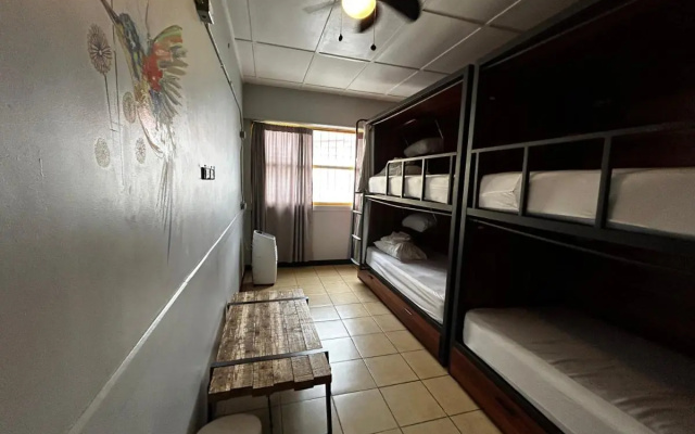 Viajero San José Hostel