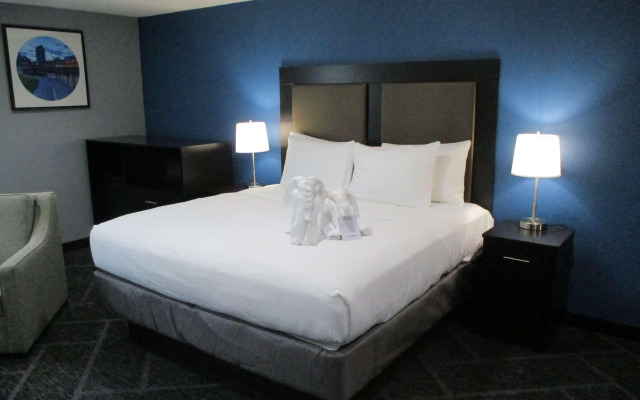 Best Western Rochester Hotel Mayo Clinic Area/St. Mary's