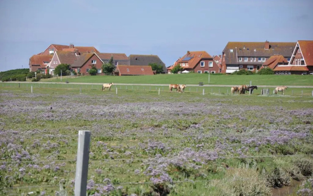 Seevilla Wietjes Whg 6
