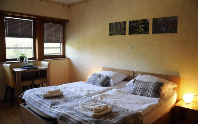 Hotel Celjska Koca