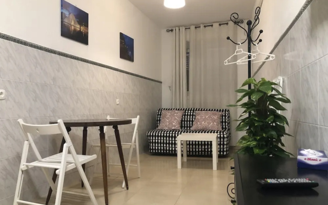 Apartment Sevilla Center