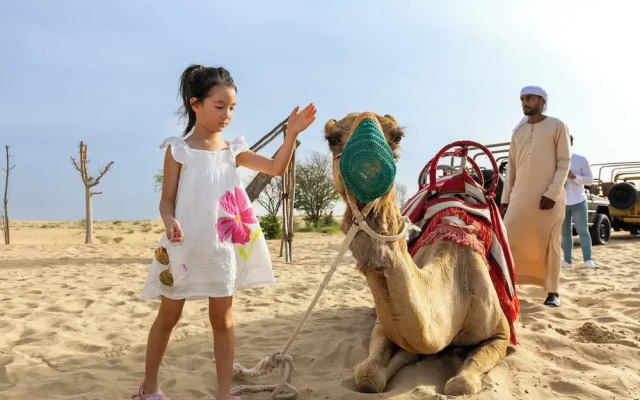 Al Marmoom Oasis Bedouin Tent Experience