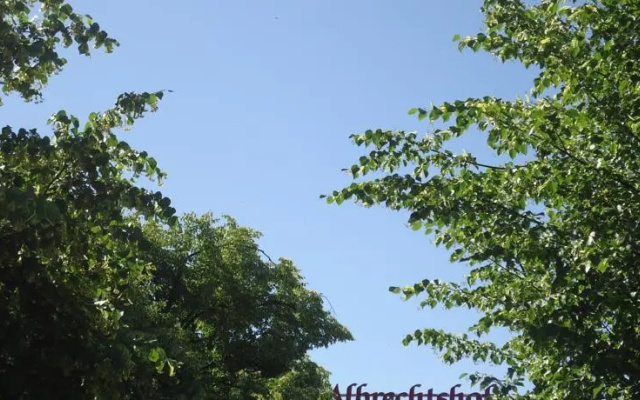 Albrechtshof