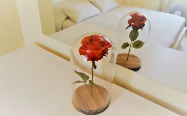 Little Prince Apartment
