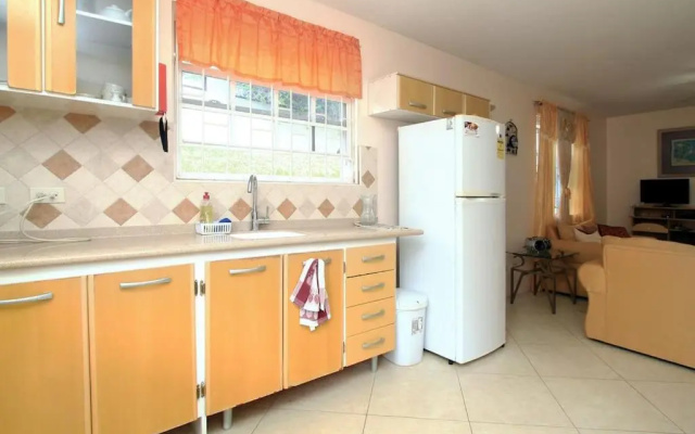 Croton Studio at Sungold House Barbados