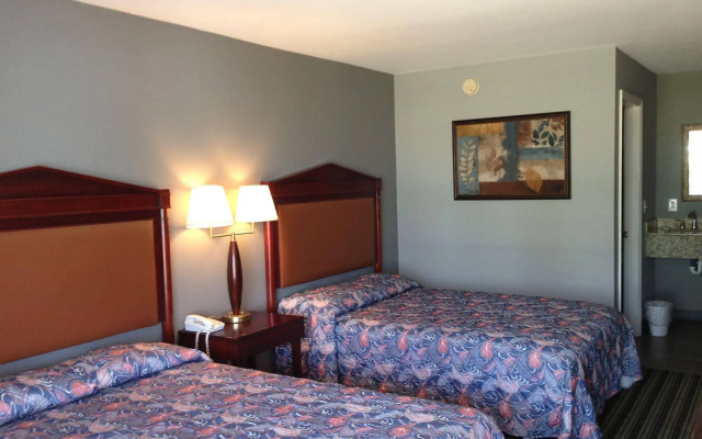 Safari Inn