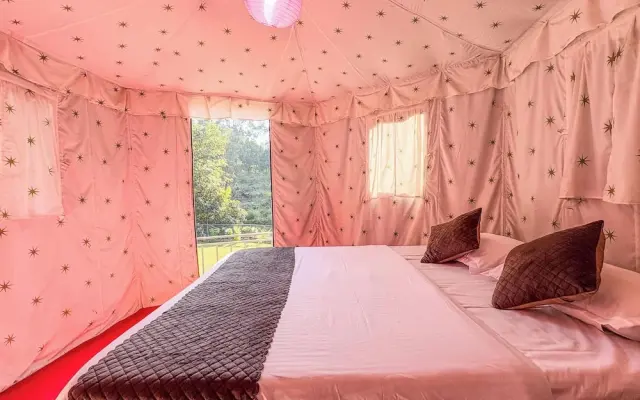 The Jungle Walker Resort
