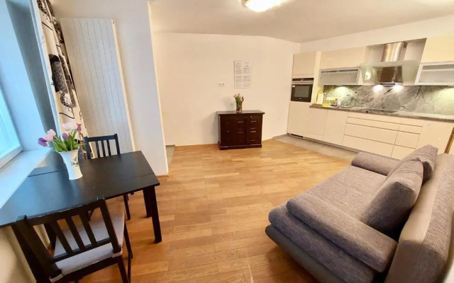 Vienna Studio Apartments
