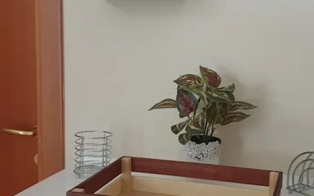 Masangy's Studio