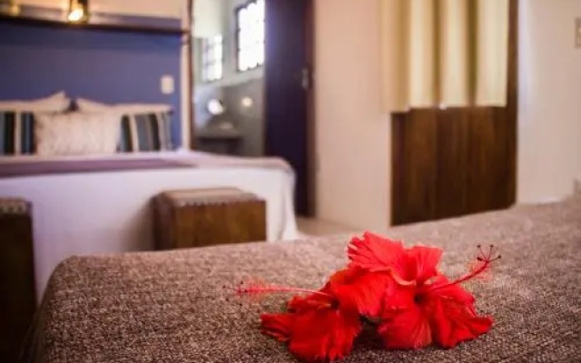 Planeta Banana B&B