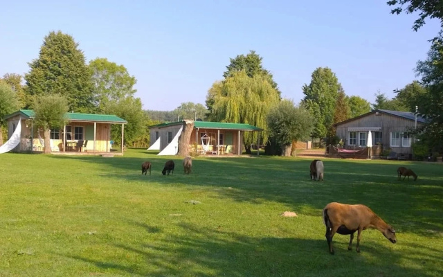 Ferienhaus mit Kamin am Achterwasser in Lutow