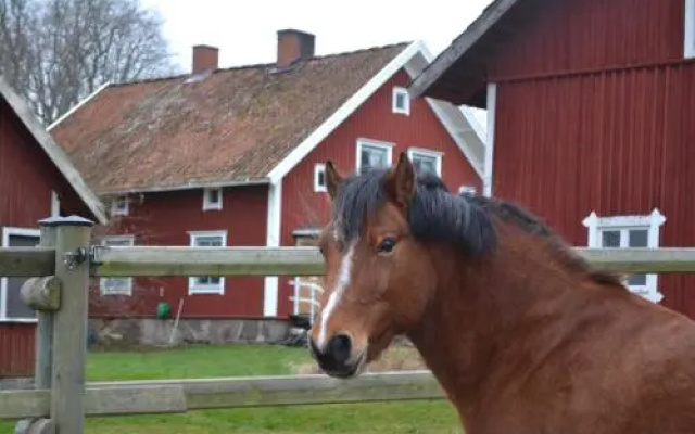 Uddebogård 2