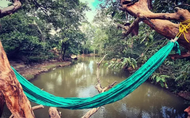 Jungle river humbhaha hostel
