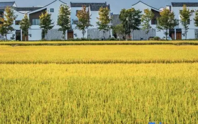 Yuziwu House