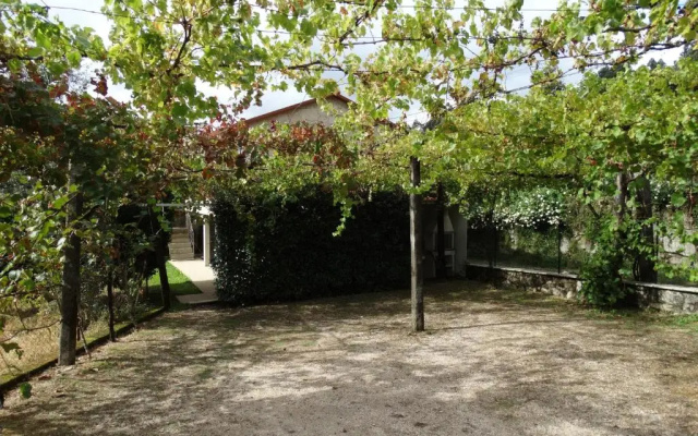 Casa da Mineira T1