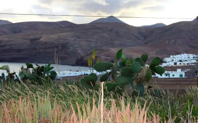 Lanzarote Nature