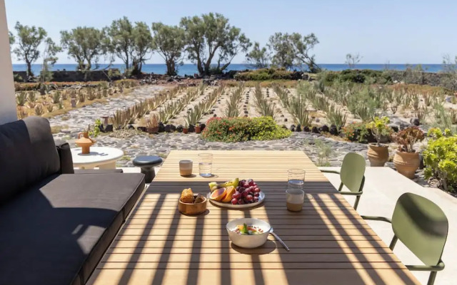 Exomitis1 Cellar & Sea Escape