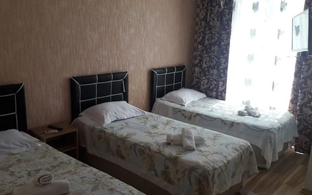Отель Dzveli Batumi