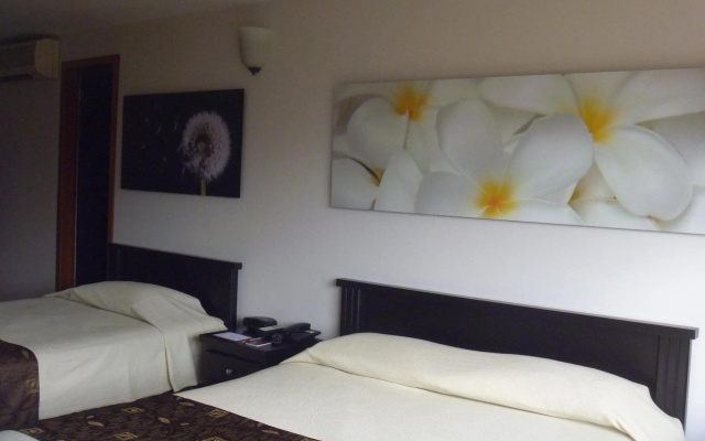 Socialtel Provenza Medellin