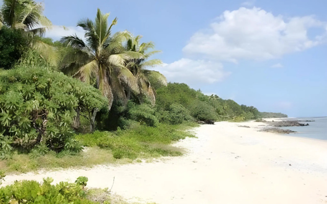 Alofa Beach Bungalows