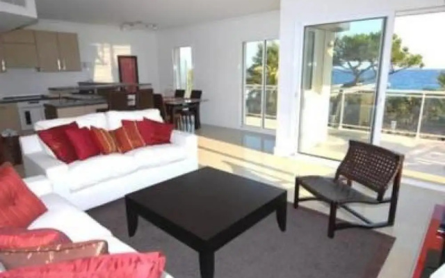Royal Palm 218