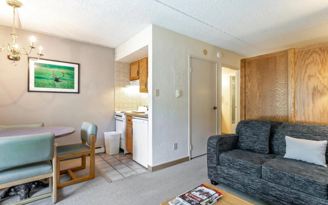 Lift House Lodge, Vail Lionshead Studio Condo, Walk to Gondola