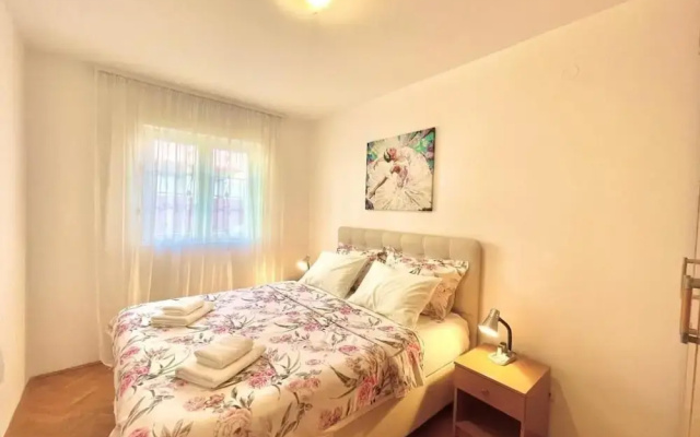 Comfort apartments near the beach
