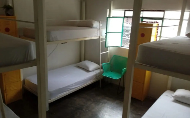 Shaka Surf House - Hostel