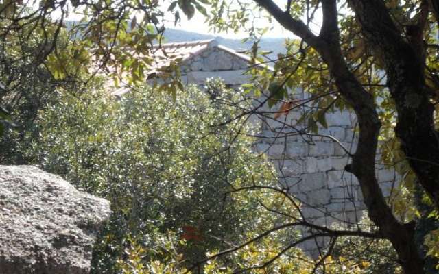 Casa martinetti