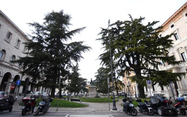 Suite Calderini