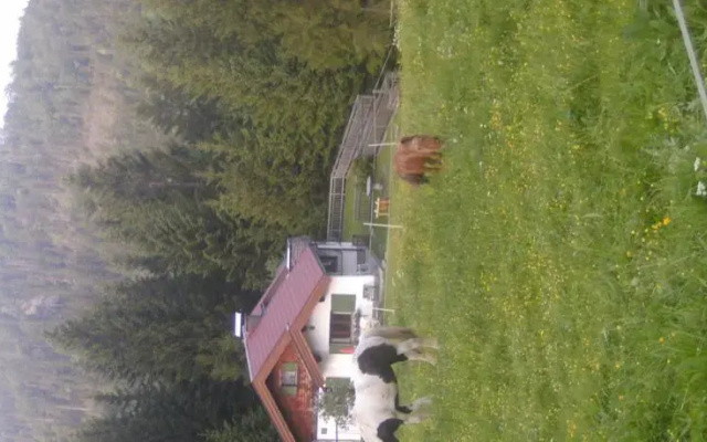 Ferienhaus Wimmer