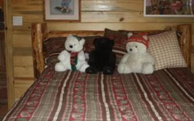 Bear In The Bed and Breakfast