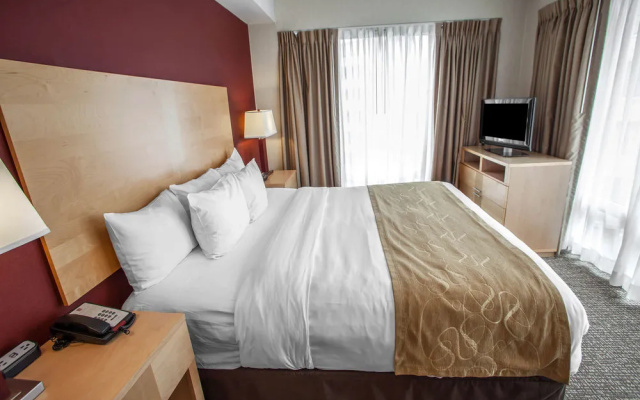 Comfort Suites Michigan Avenue