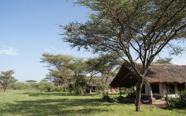 Ikoma Bush Camp