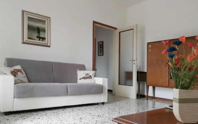 Vistalago 55 B