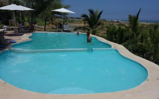 El Delfin