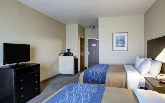 Spark by Hilton Selma