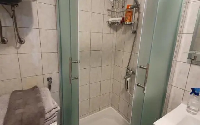 Apartment Irena