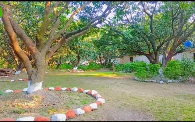 Shekhar Corbett Safari Camp
