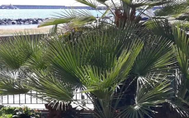 Al giardino Sant'Anna