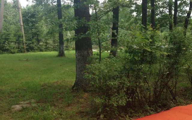 Forest Mirage Pension