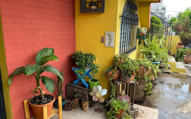 Habitaciones Eco-Terrazas