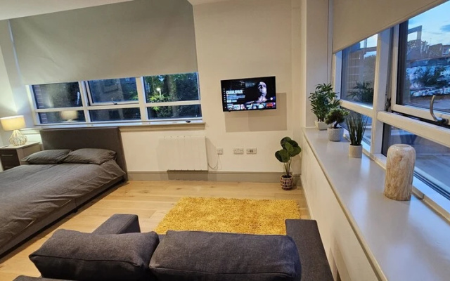 Beautiful 1-bed Studio in London Tottenham