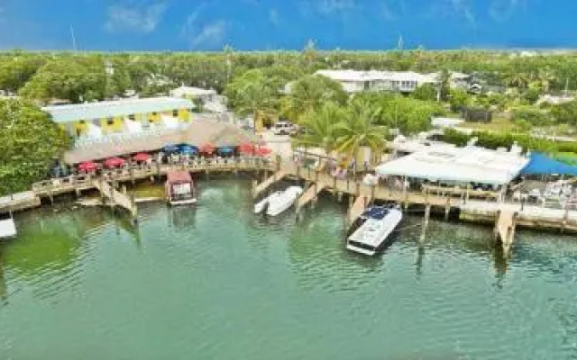 Snappers Key Largo