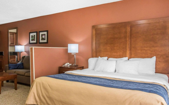 Comfort Inn Livingston