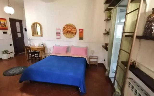 Rooftop Attic