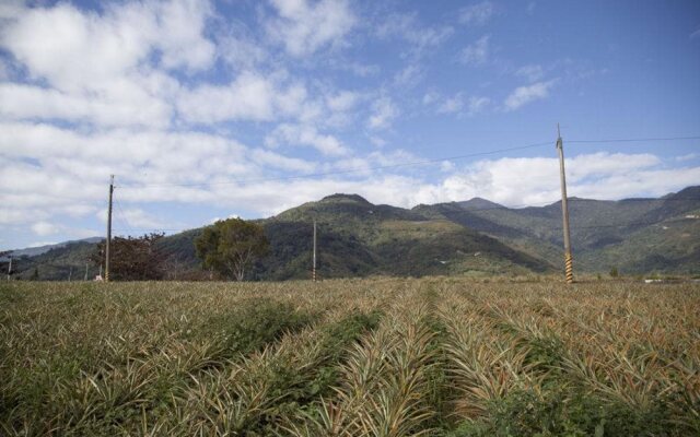 Yongan Tea Garden
